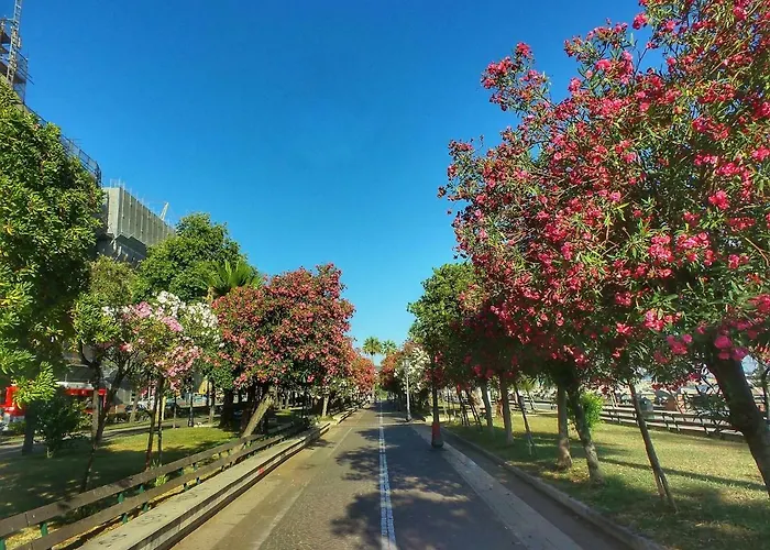 Lejlighed Mare E Luci